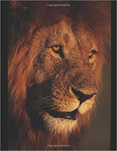 King Jesus Version - Essential Revelations
